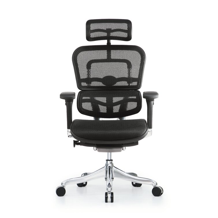 Ergohuman elite office outlet chair